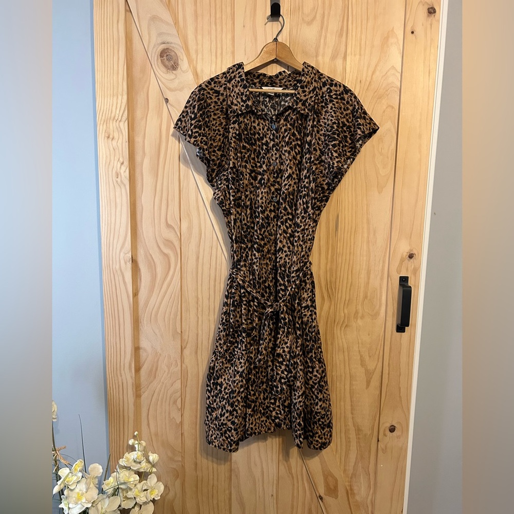 Terra & Sky Brown Leopard Print Dress